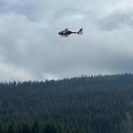 2024-03-12_suchaktion miesenbach_034